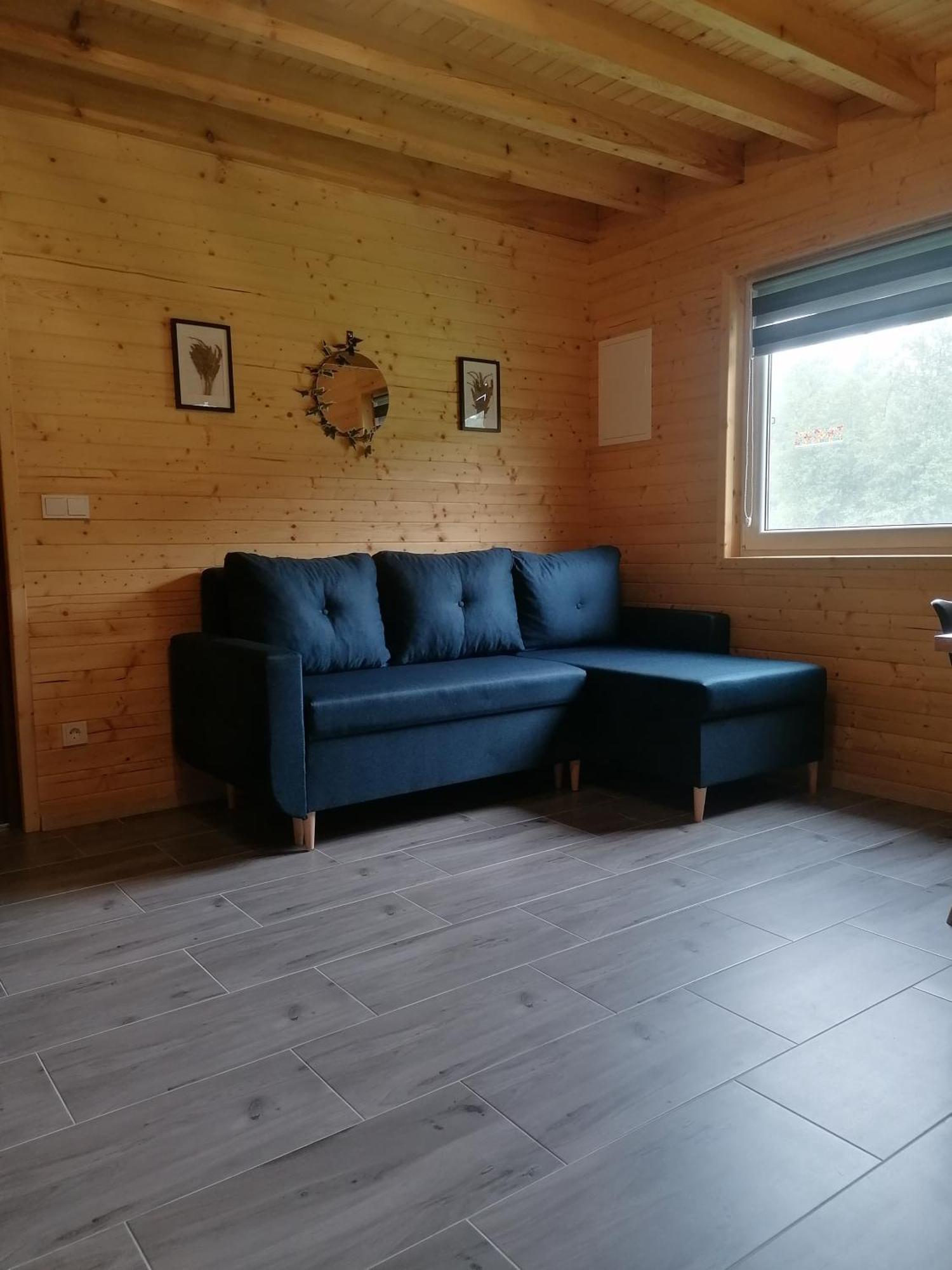 Lisi Zakatek Villa Czarna  Dış mekan fotoğraf